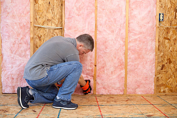 Types of Insulation We Offer in FL